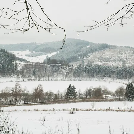 Διαμέρισμα Welcome In - 66-b 'mountainside' In Niedersfeld-winterberg Mit Balkon, Schoener Aussicht Und Abstellraum *