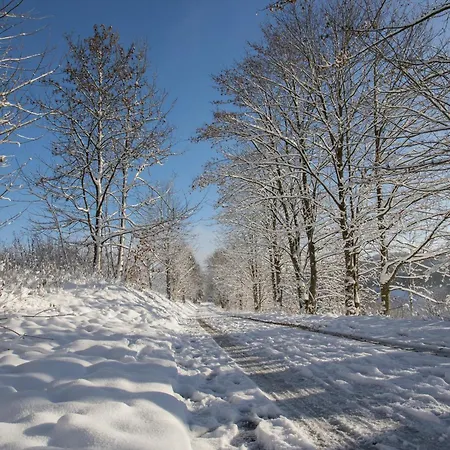 Welcome In - 66-b 'mountainside' In Niedersfeld-winterberg Mit Balkon, Schöner Aussicht Und Abstellraum *